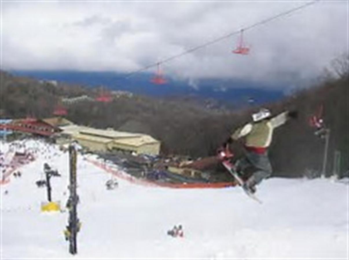 Mountain Springs Chalet แกตลิงเบิร์ก ภายนอก รูปภาพ
