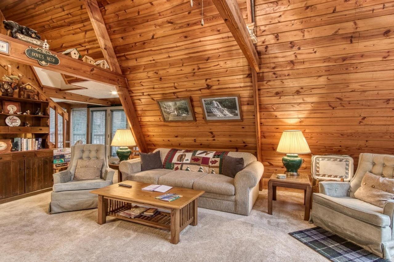 Mountain Springs Chalet แกตลิงเบิร์ก ภายนอก รูปภาพ